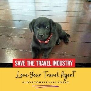 Meet your Posher, Pauline